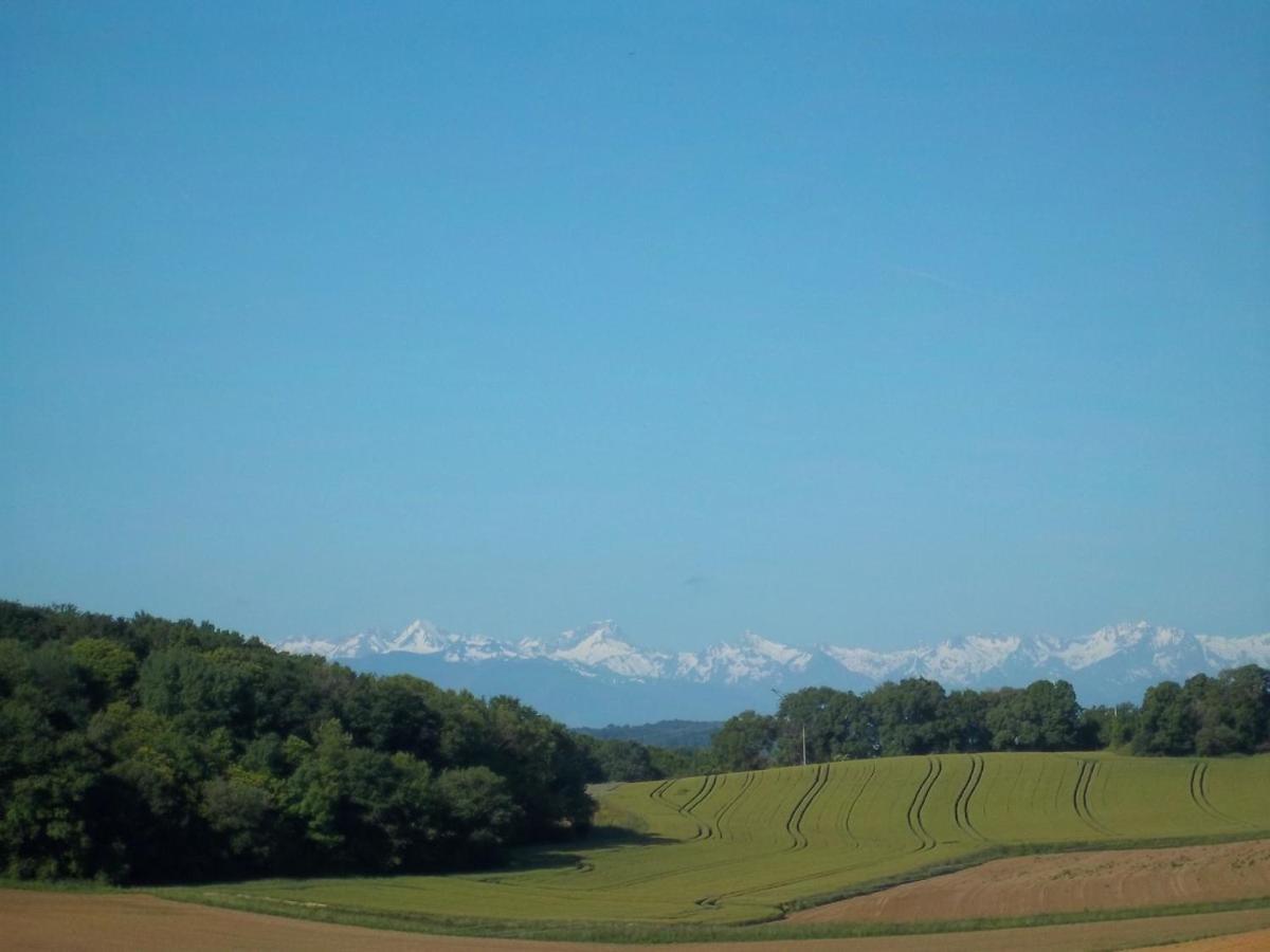Villa Marcus Castelnau-Magnoac Екстер'єр фото